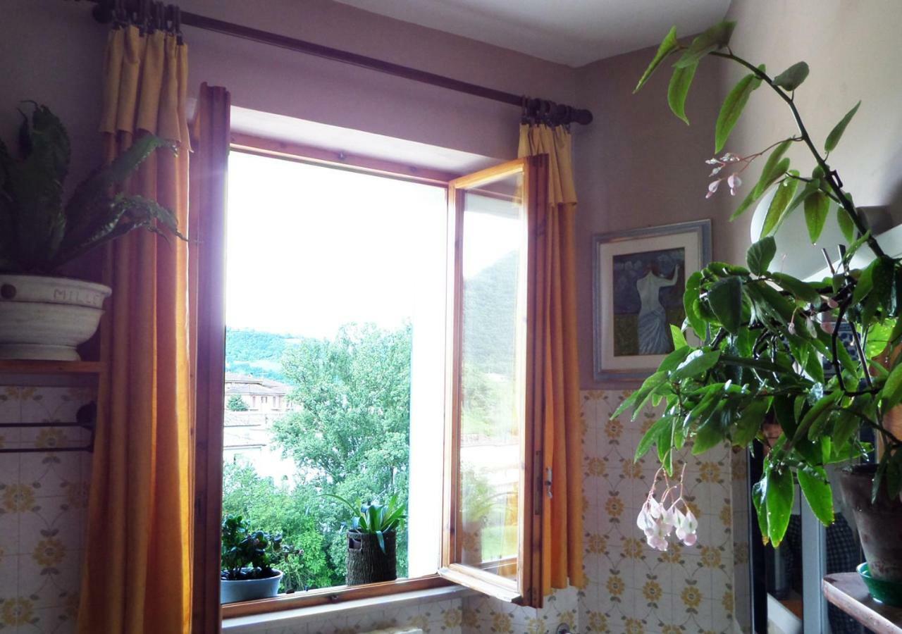 La Finestra Sul Fiume Bed and Breakfast Fossombrone Exterior foto